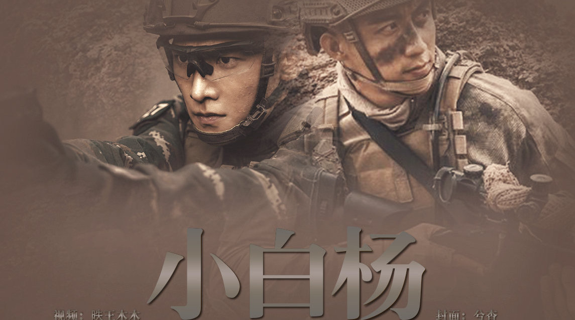 188男团 | 小白杨